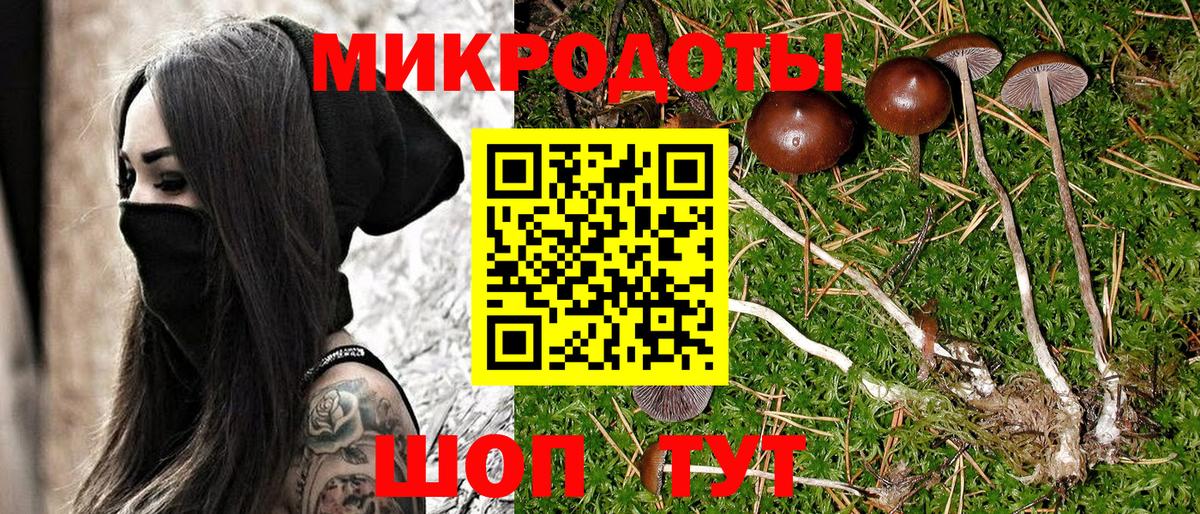 Усть-Илимск  Псилоцибиновые грибы ЛСД  Вход с VPN 