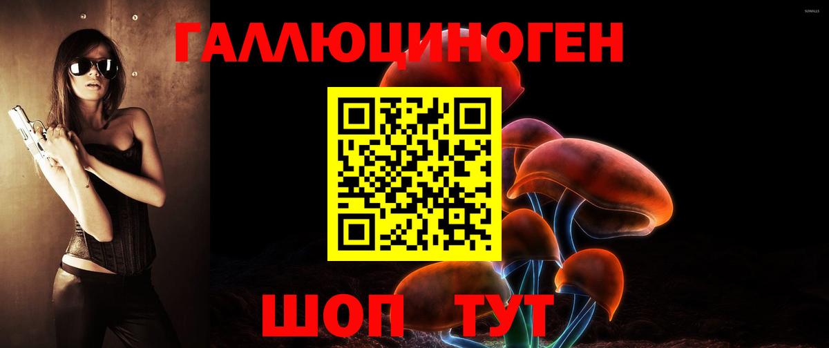 Галлюциногенные грибы Psilocybine cubensis Усть-Илимск